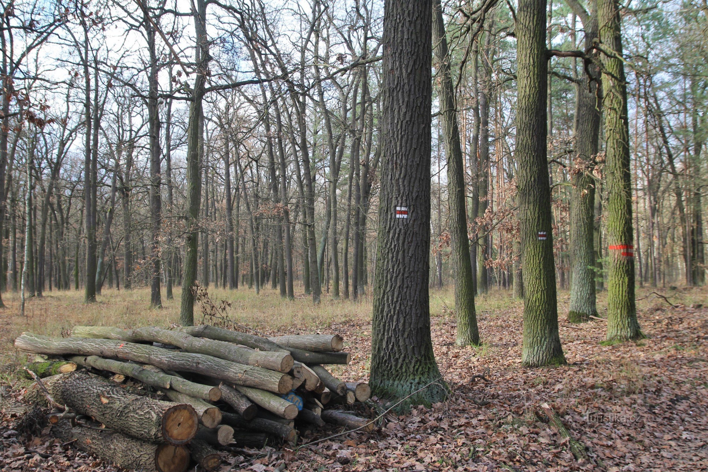 Verschillende toeristische routes lopen door de plaats