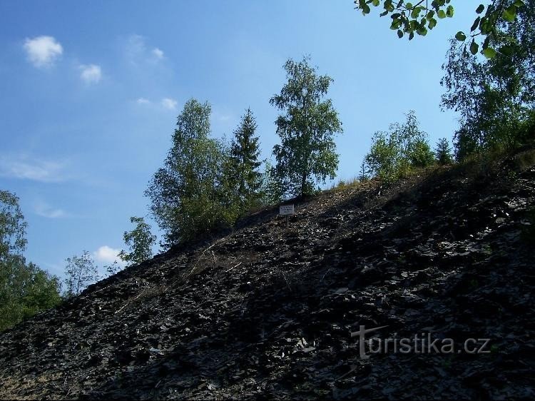 粘板岩採石場: ザルジュネ近辺の粘板岩