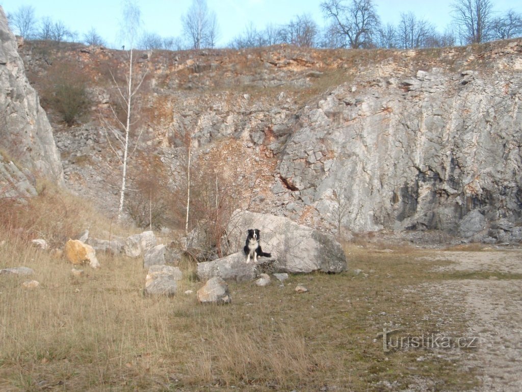 Chlum Quarry