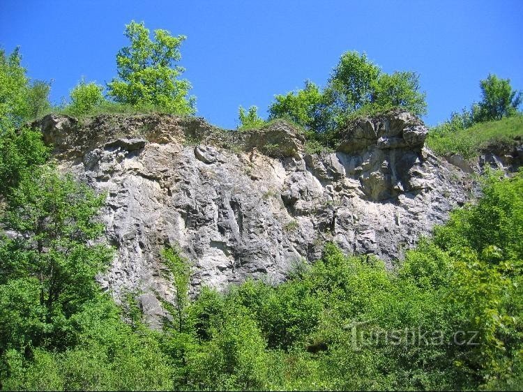 Kobyla Quarry: The former quarry is now densely overgrown with vegetation.