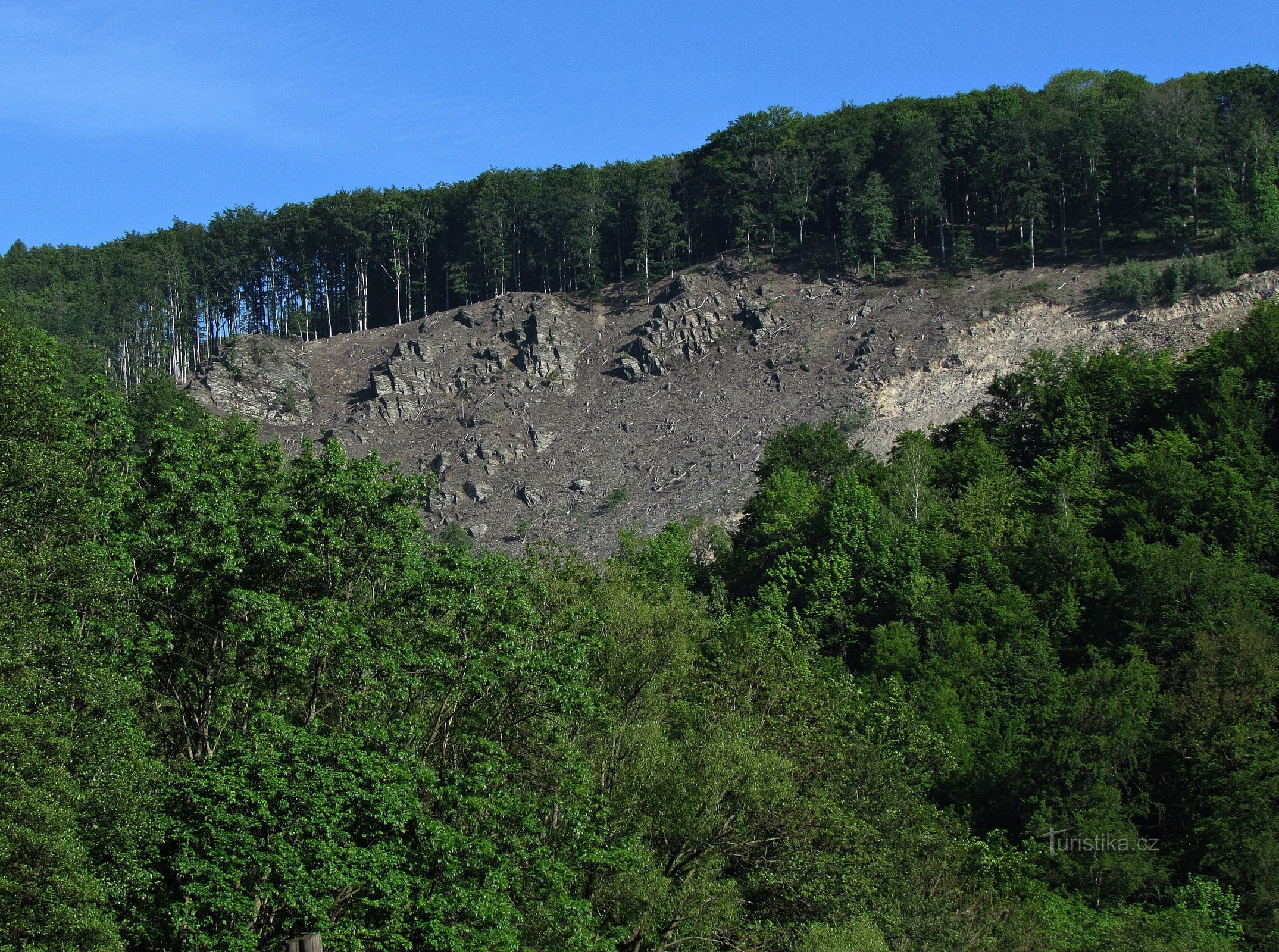 quarry for offal