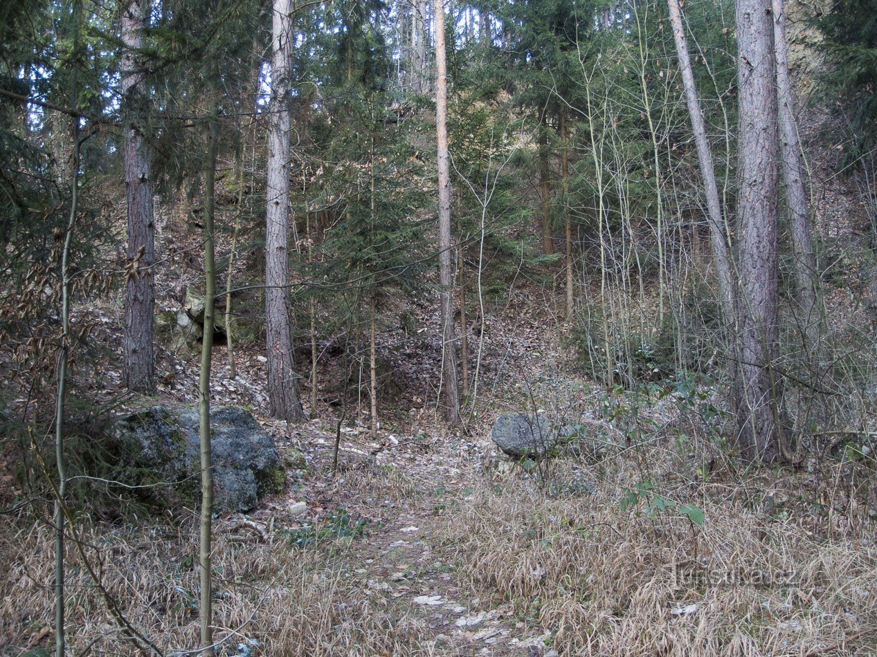 Psím Krchov 的采石场
