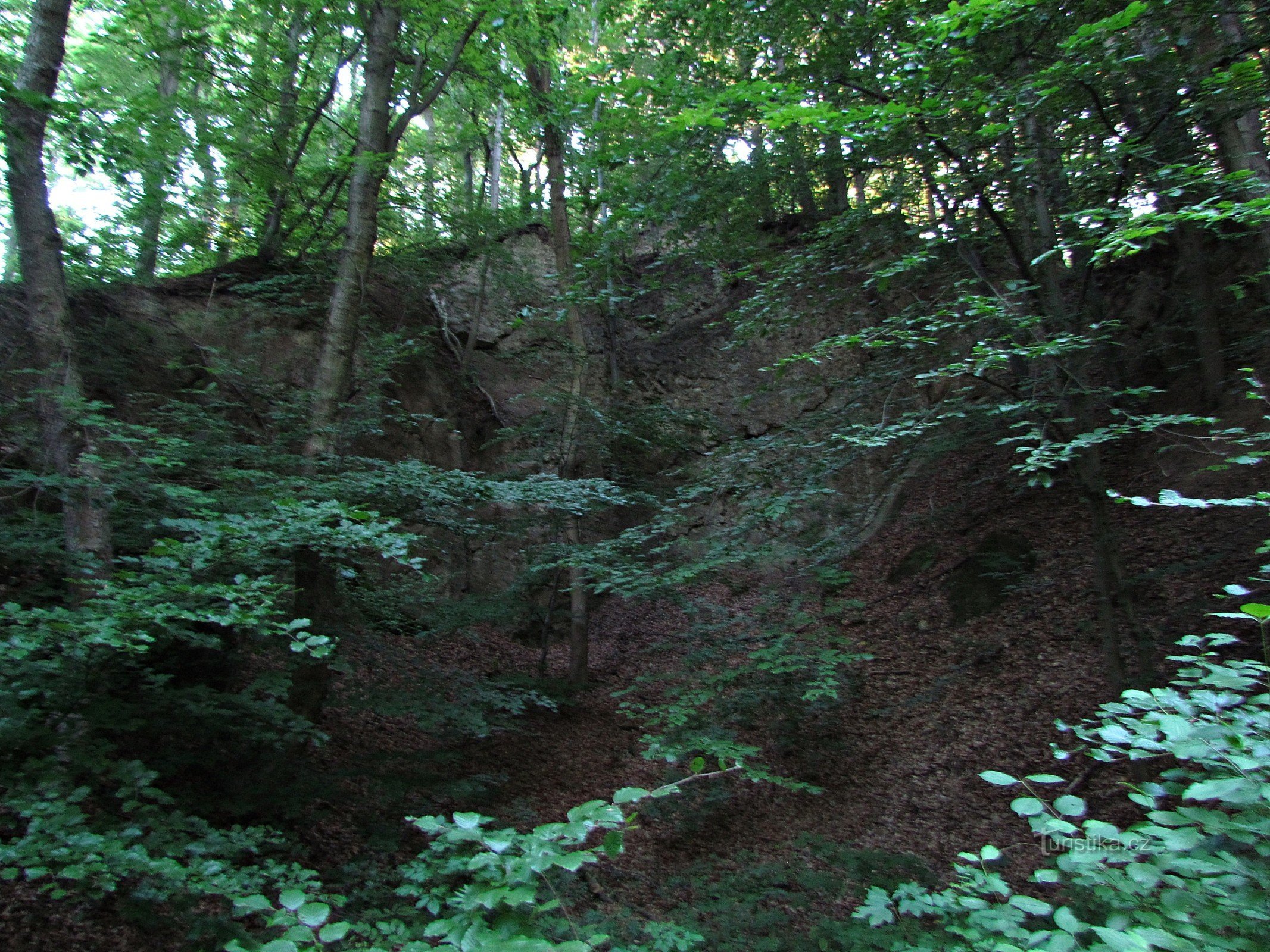 roadside quarry