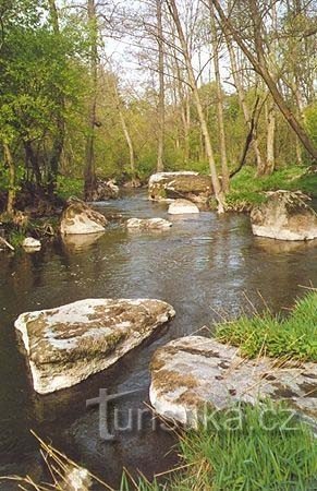 Lomnice - rivier