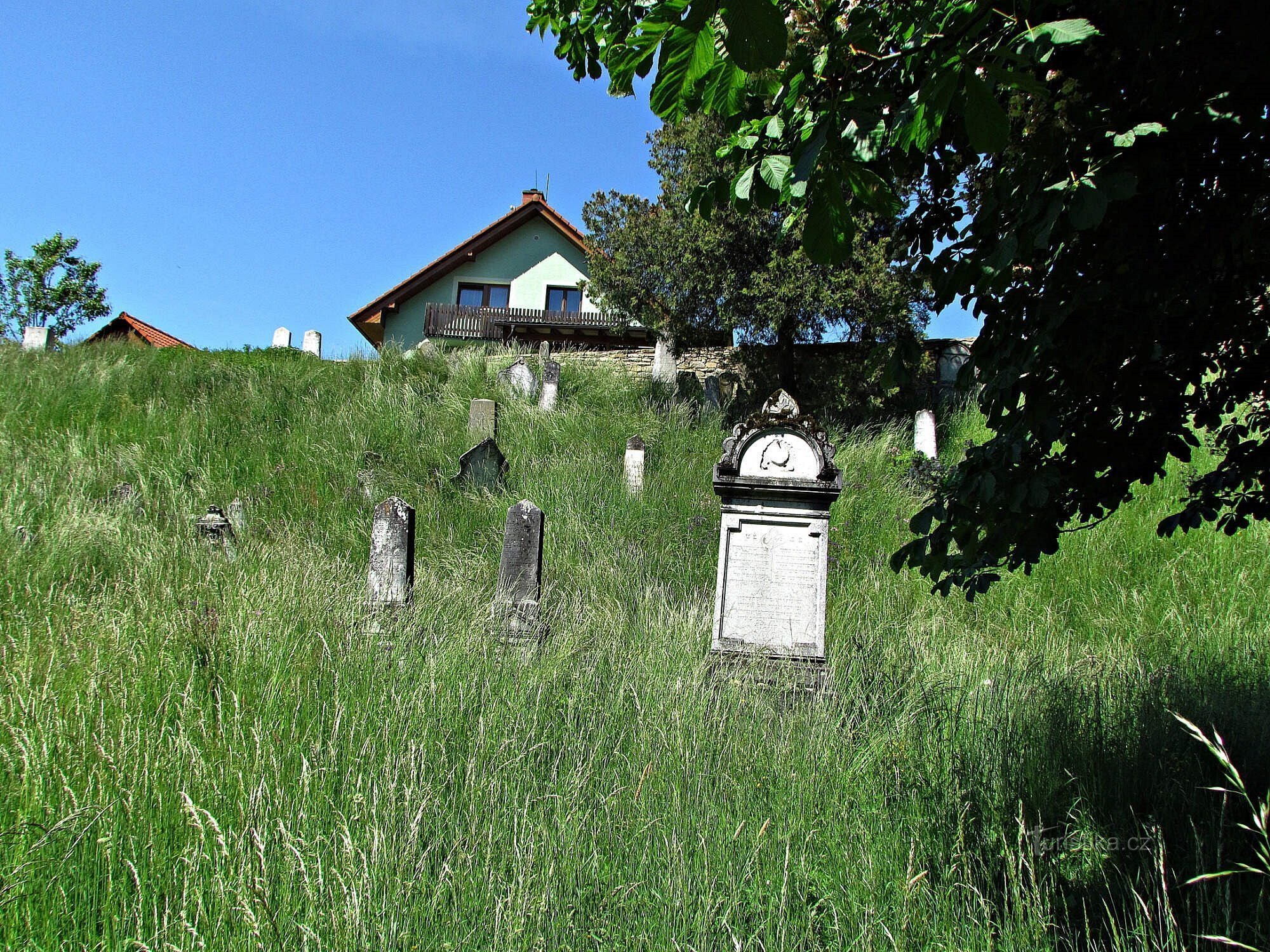Cmentarz Żydowski w Łomnicy