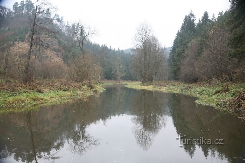 Prairie sous le château de Víckov