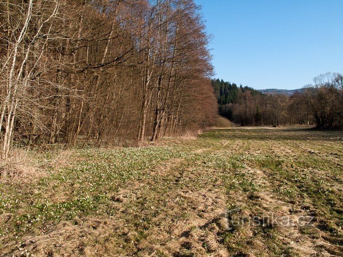 Livada i dolina