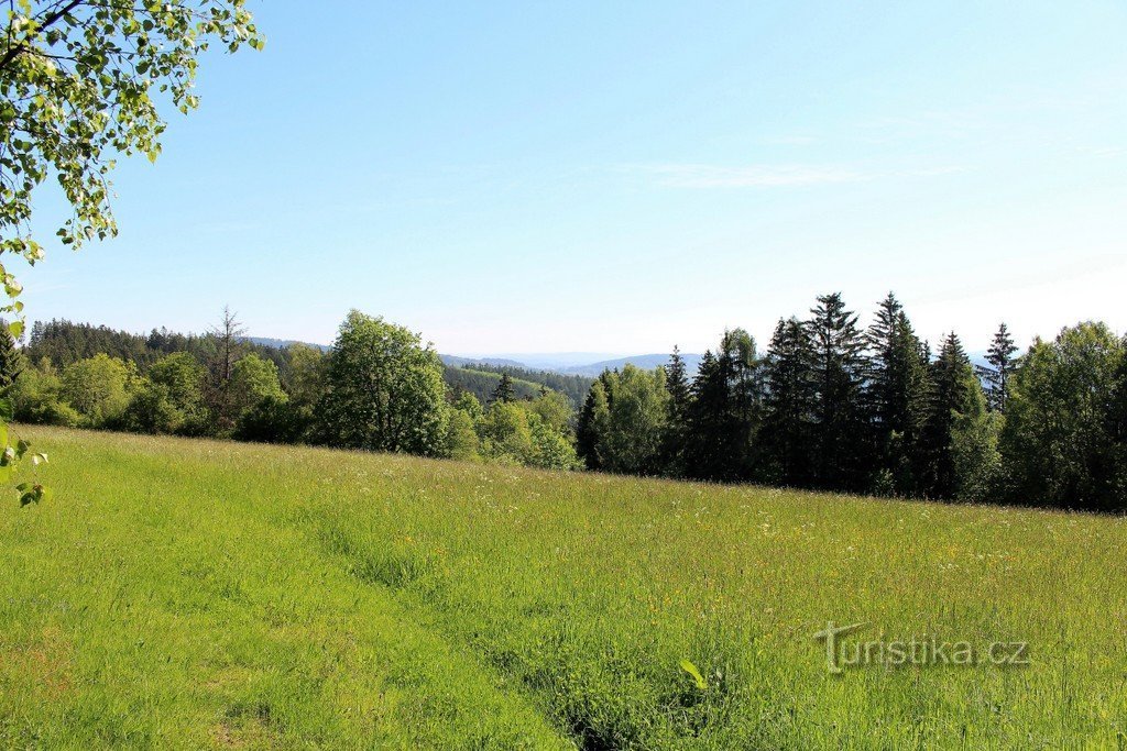 Meadow on the Plain