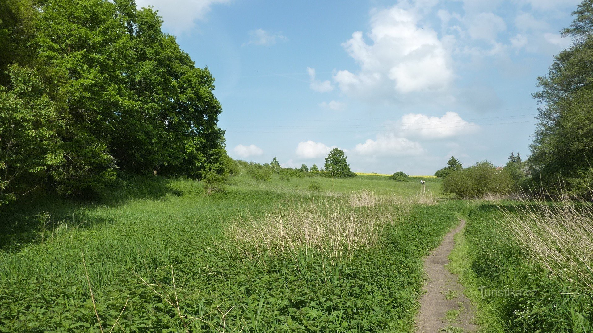 Prairie autour du ruisseau