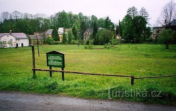 Brodský meadow