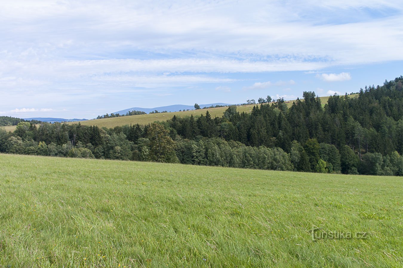 Weiden en weilanden rond Cibulka