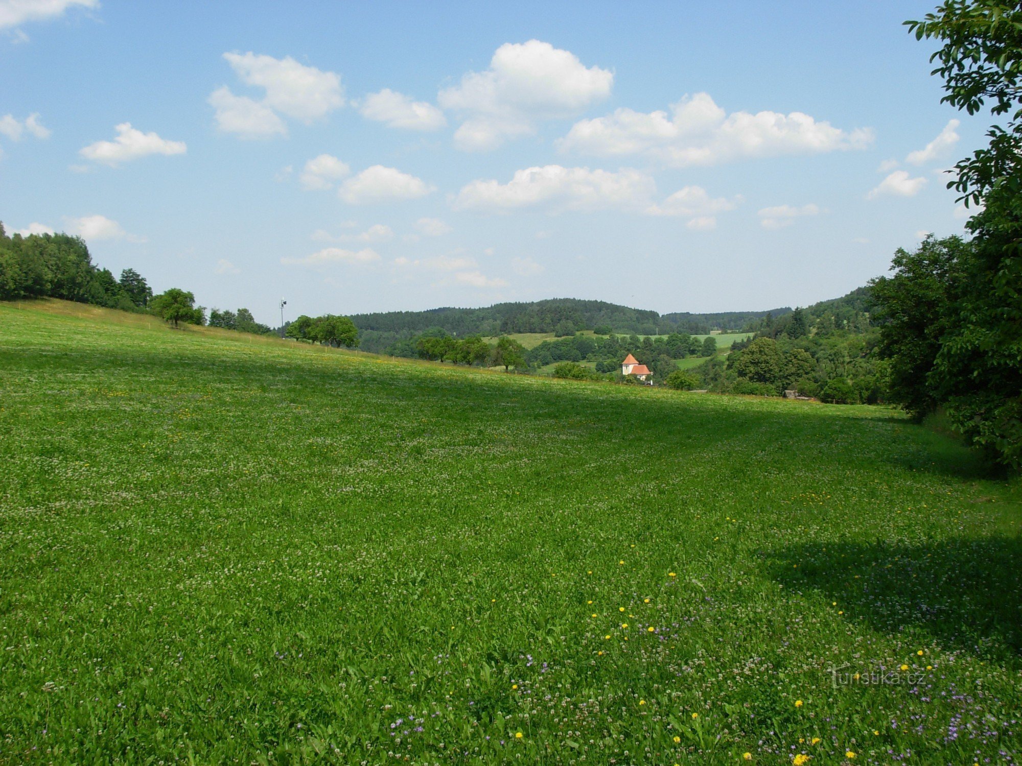 Đồng cỏ giữa Věžna và Pernštejn