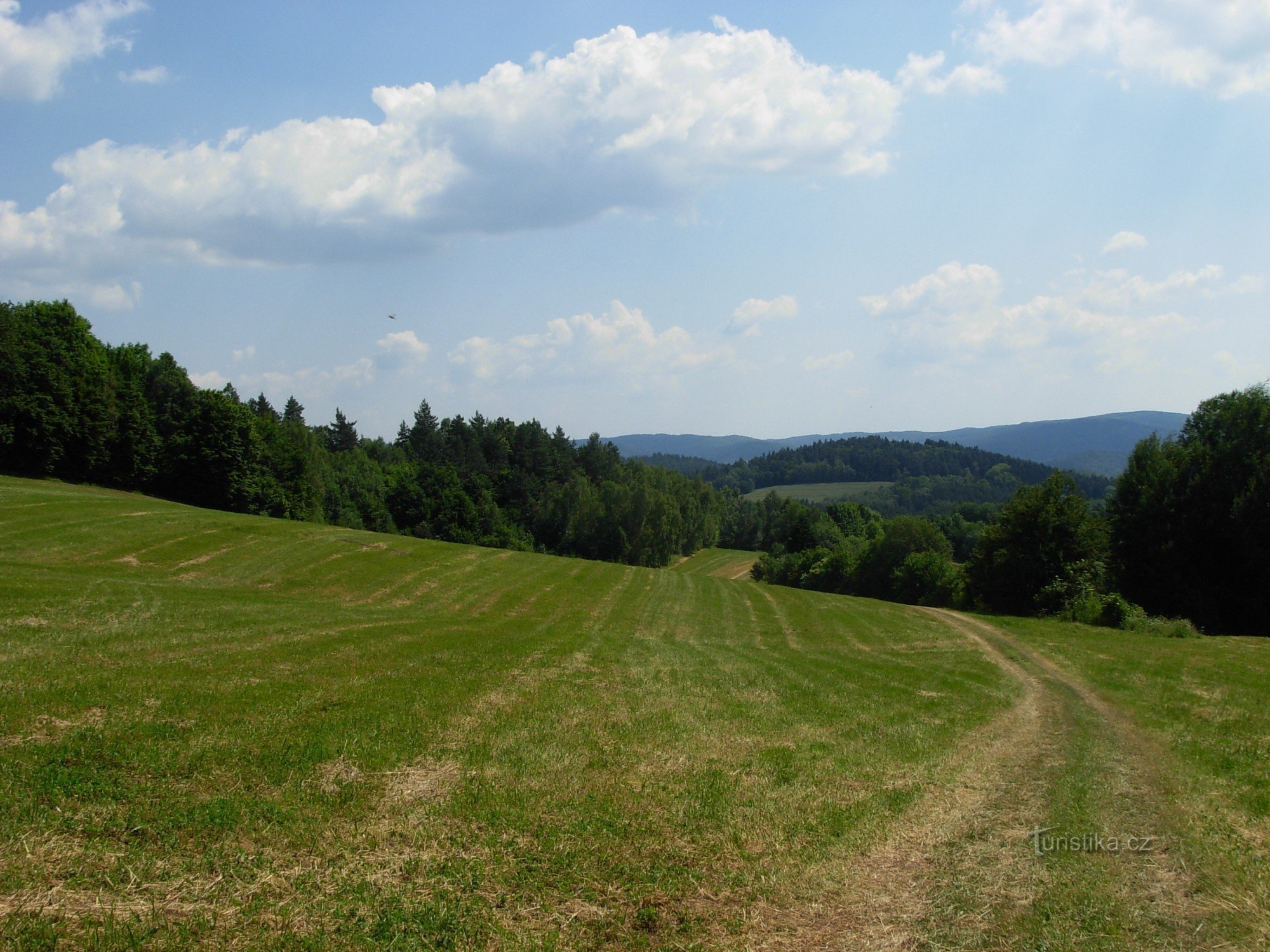 ヴェジュナとペルンシュテインの間の牧草地