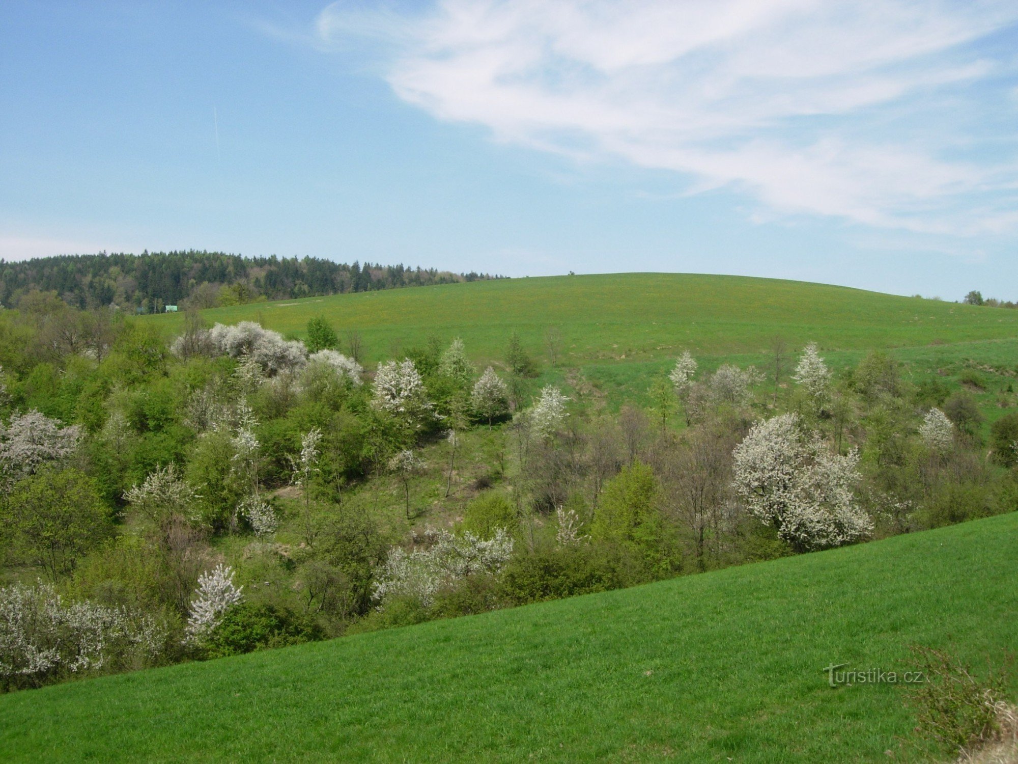 Vlčková と Držková の間の牧草地