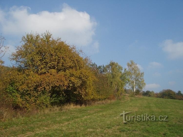 travniki ob vznožju Křížovega vrha