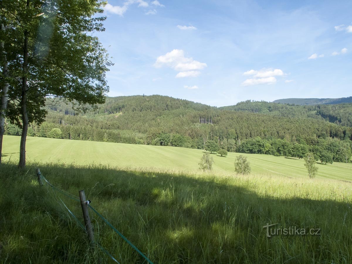 Meadows above the Black Fields