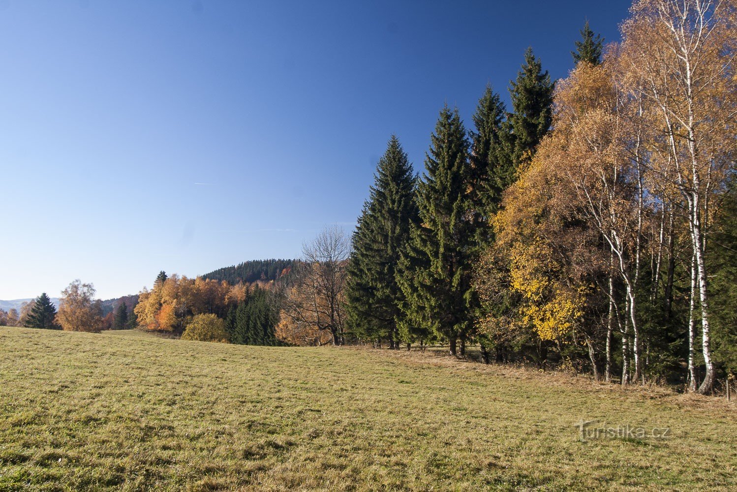 Meadows above the station