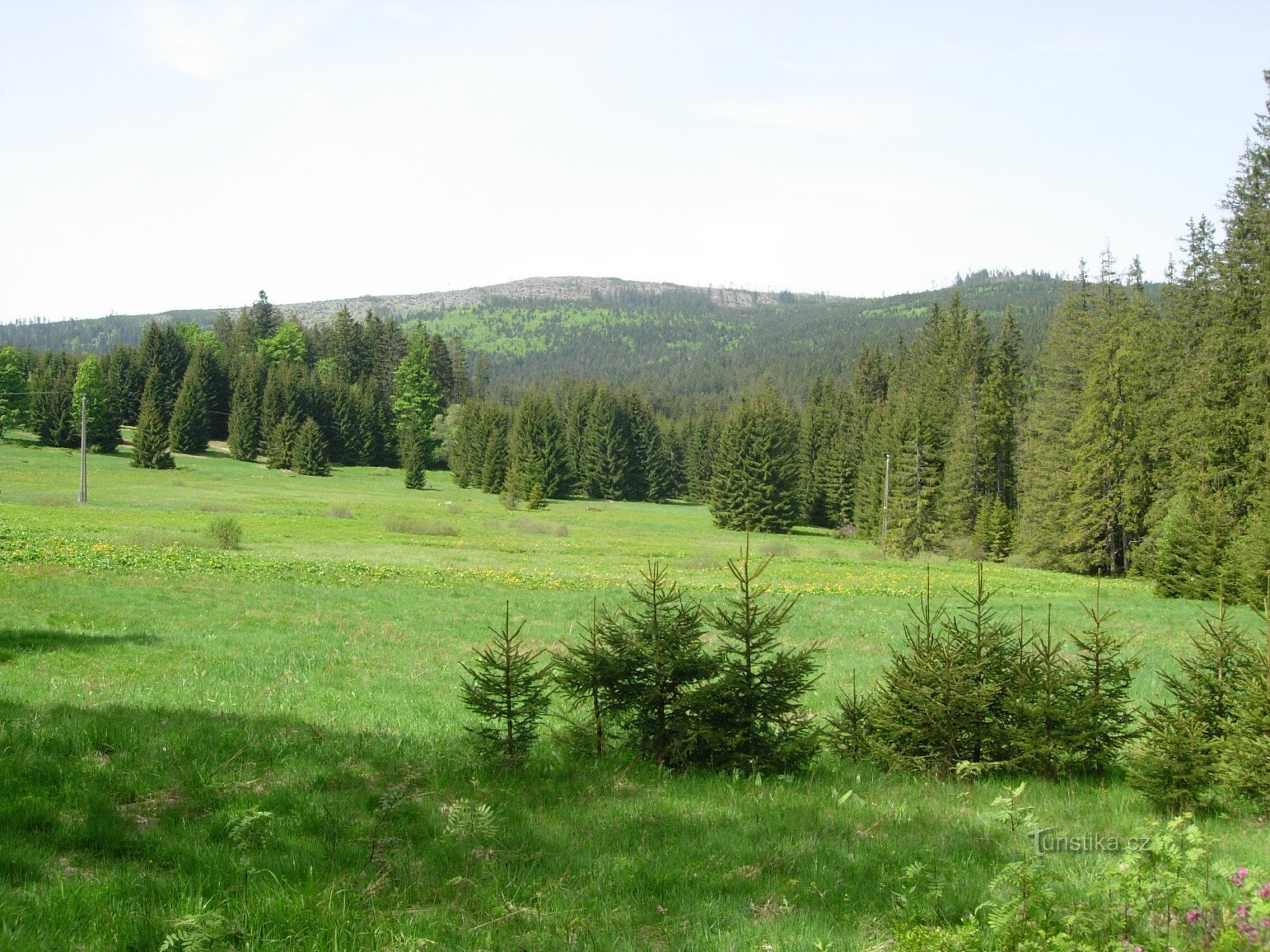 Wiesen oberhalb von Nova Hůrká