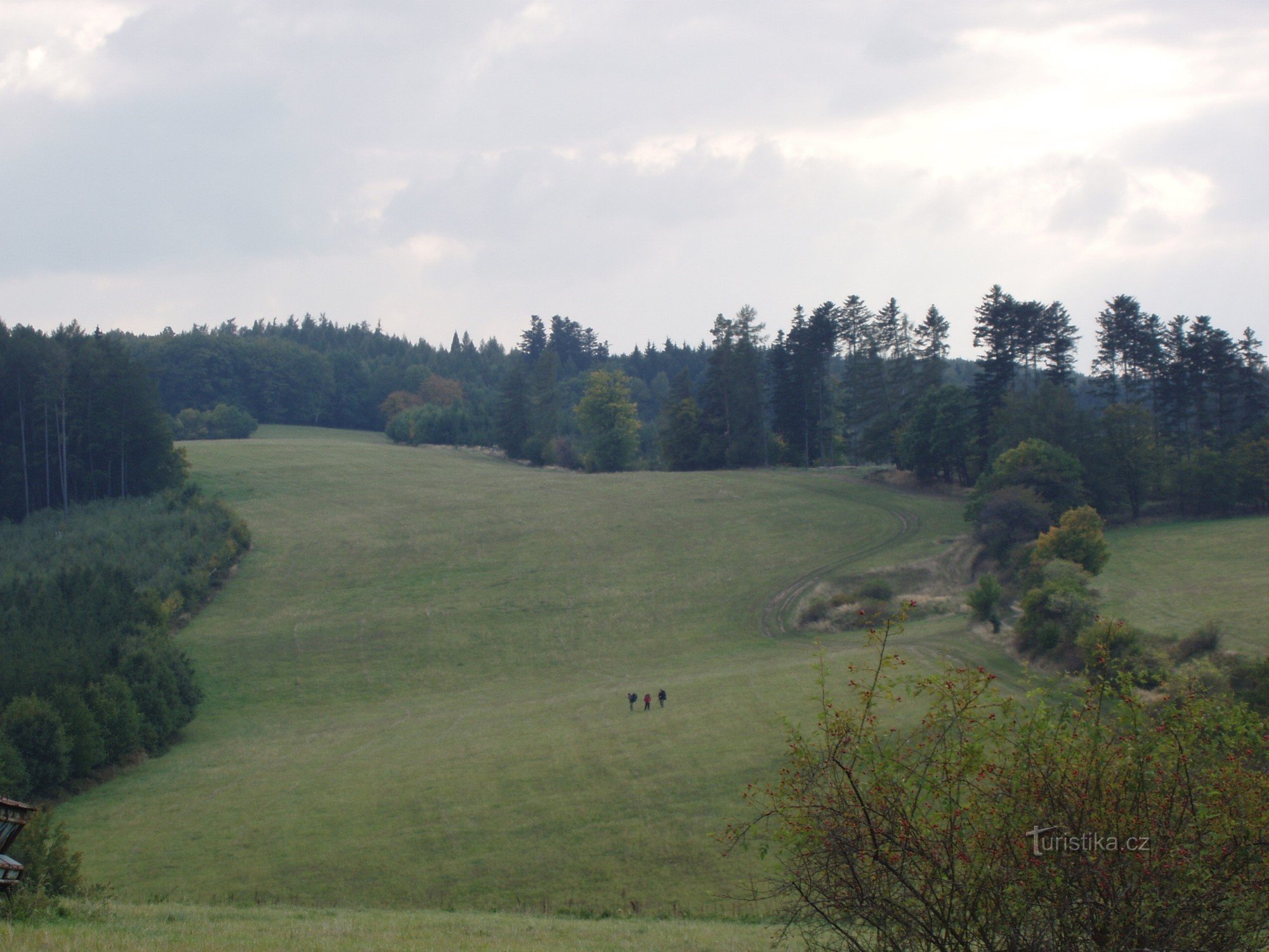 Wiesen oberhalb von Stupavou