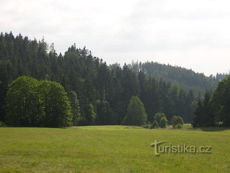 Prados em Hynkovice: Estes belos prados estão localizados acima do parque de caça em Hynkovice.