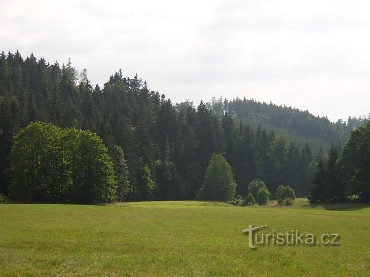 Livade u Hynkovice: Ove prekrasne livade nalaze se iznad parka za divljač u Hynkovice.