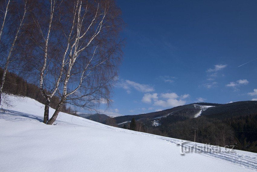 Meadows in Kouty