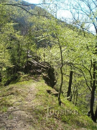 Lopežnická skála: la parte superior con vistas