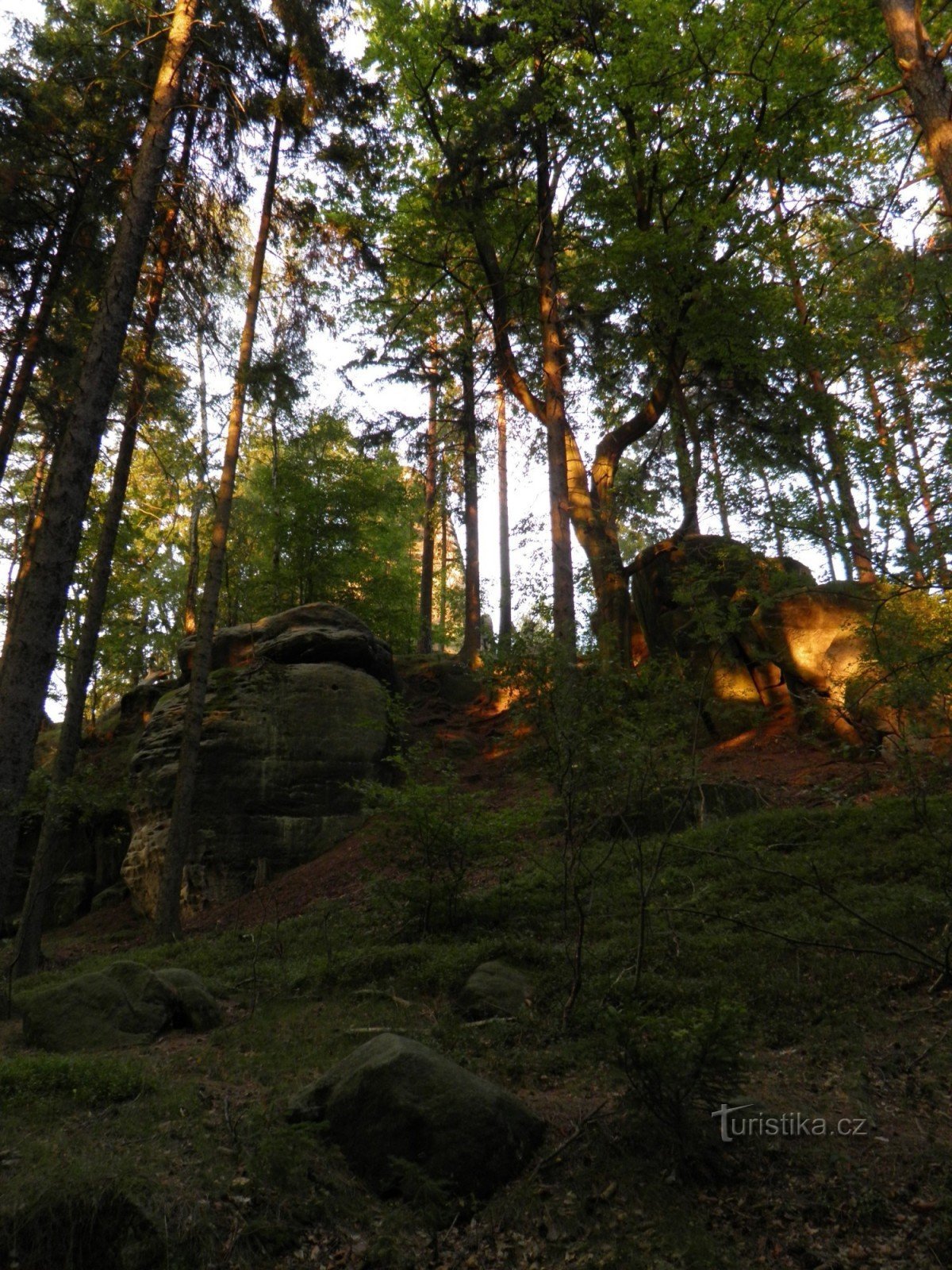 Loupežnický hrad Šaunštejn.