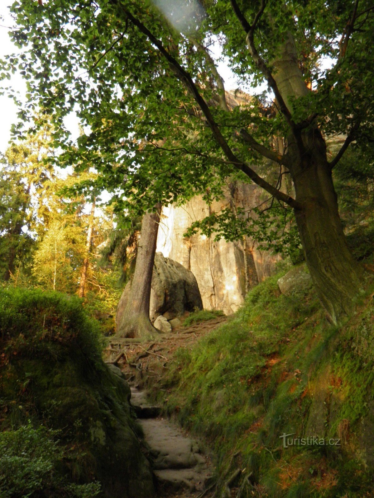 Castelul tâlharului Šaunštejn.