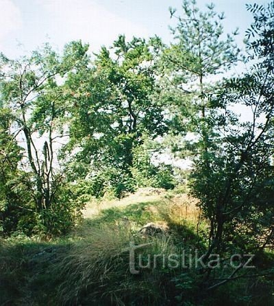 Colline du voleur