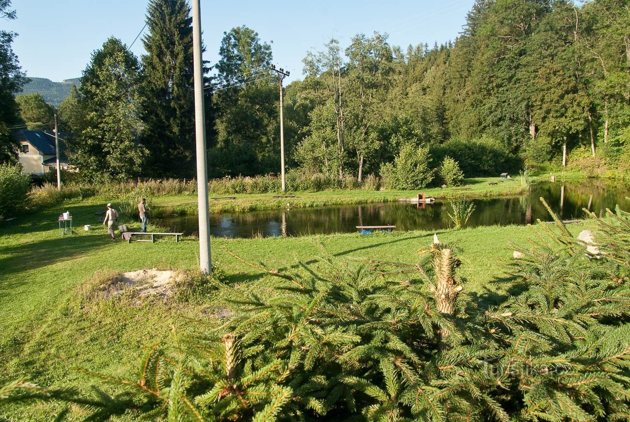 Etang de pêche