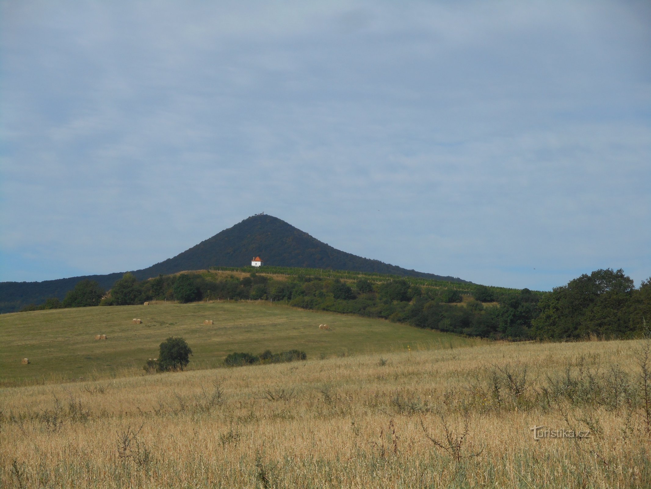 Lovoš păzește casa podgoriilor din podgoriile din Velké Žernosek.