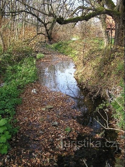 Лубенець: Lubenec