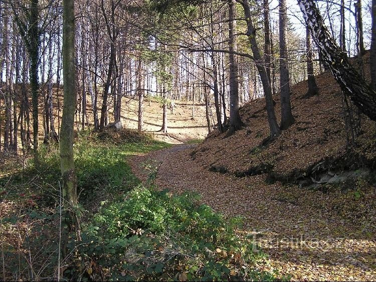 Lubno - rozcestí k AC Beskydy: Lubno - rozcestí k AC Beskydy - směr Nová Ves