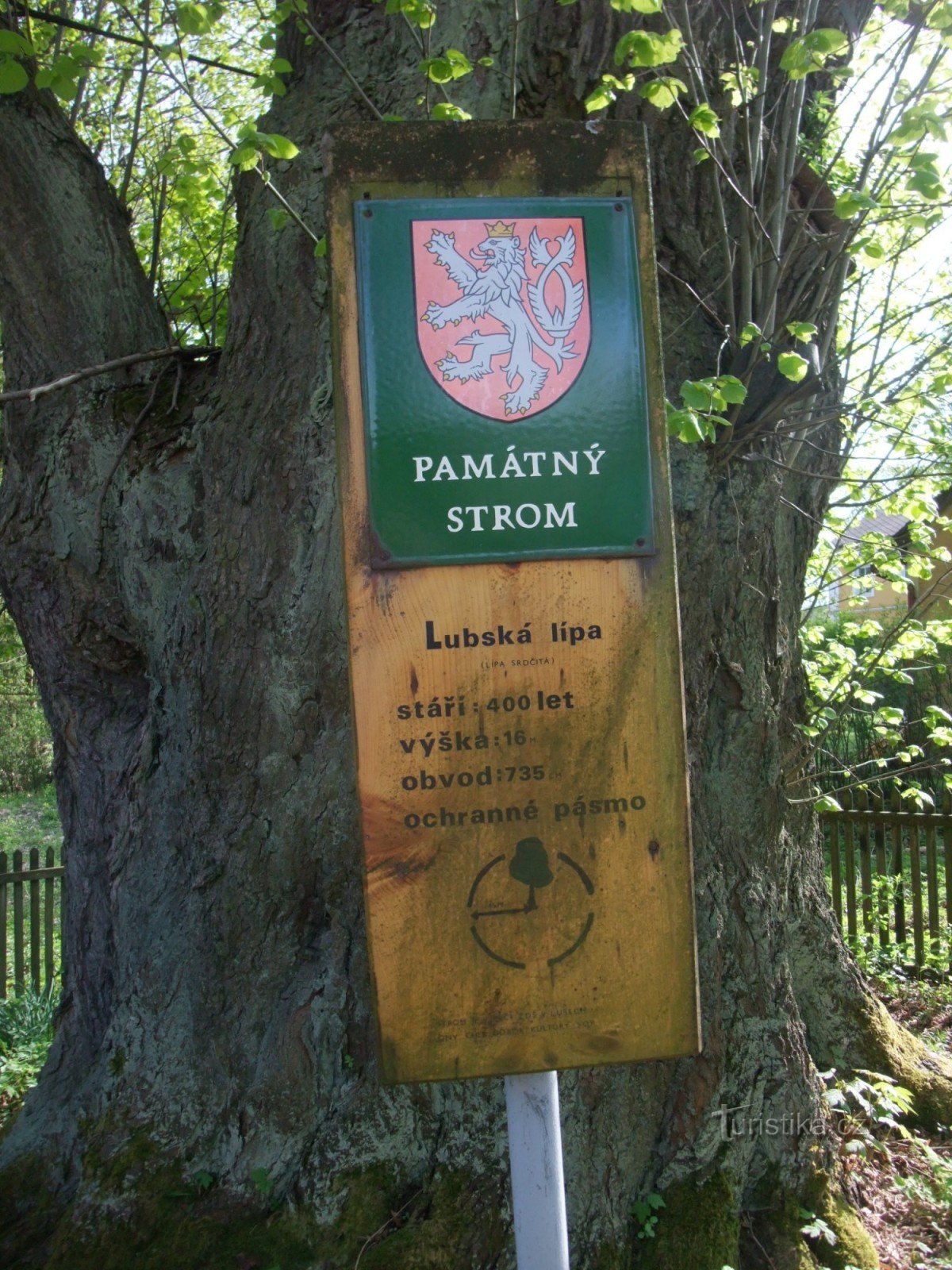 Luby /Schőnbach/ - Memorial linden