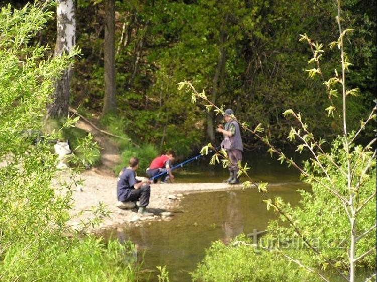 Lučina – Žermanice