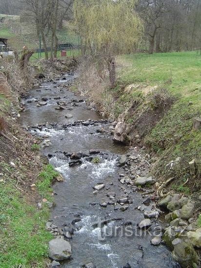 Pârâul de luncă