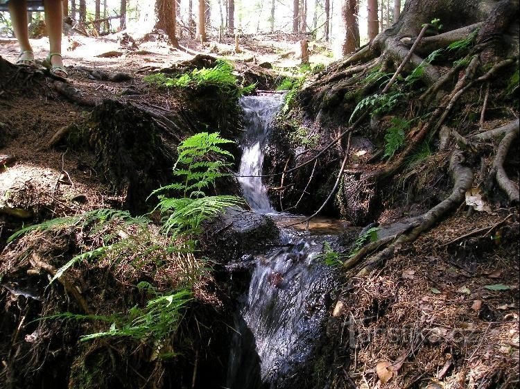 Weidestroom boven de waterval