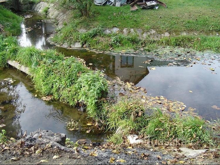 Ludina: Ve Stříteži nad Ludinou