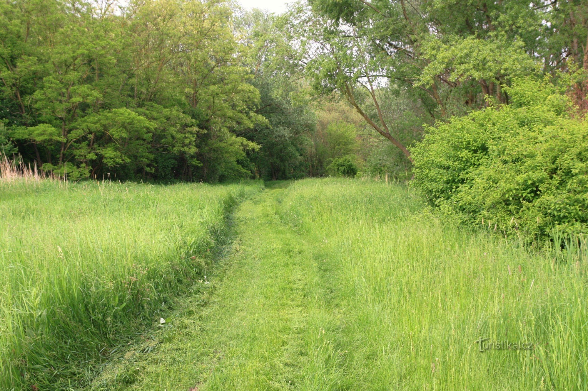 Luh is criss-crossed by a number of forest roads