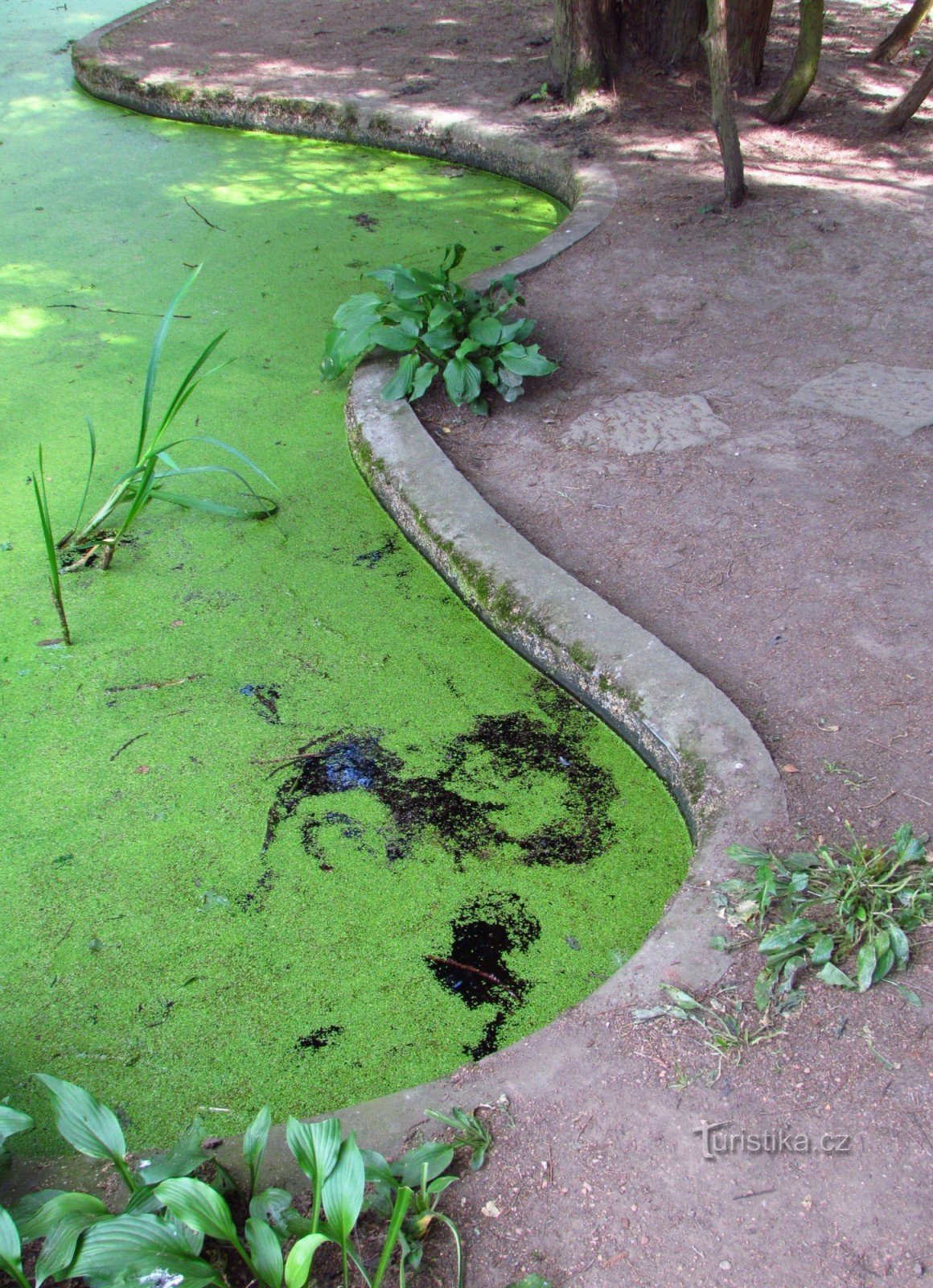 Luhačovice - Giardino giapponese