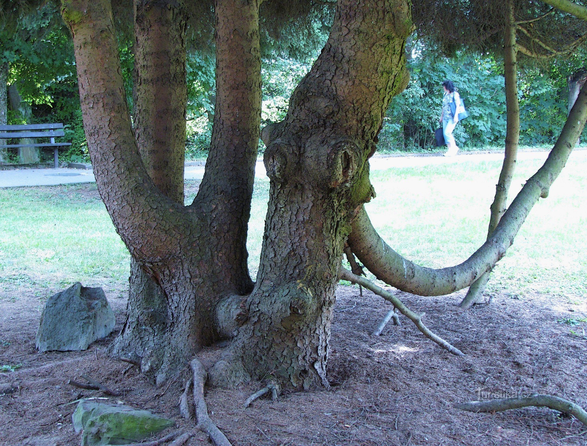 Luhačovice - Japanischer Garten