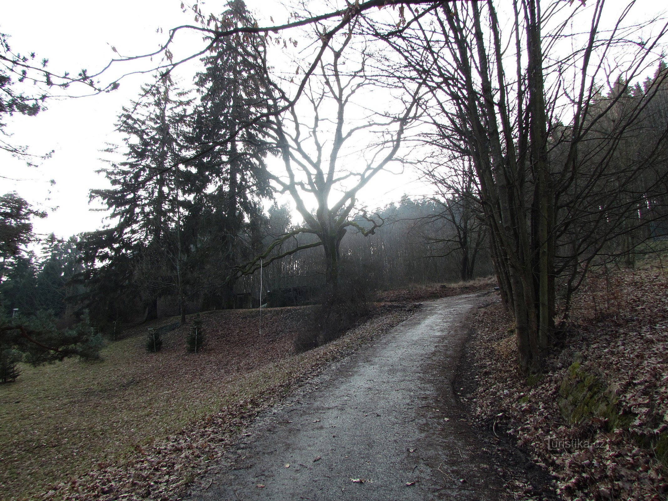 Luhačovice - le rovine della capanna slovacca