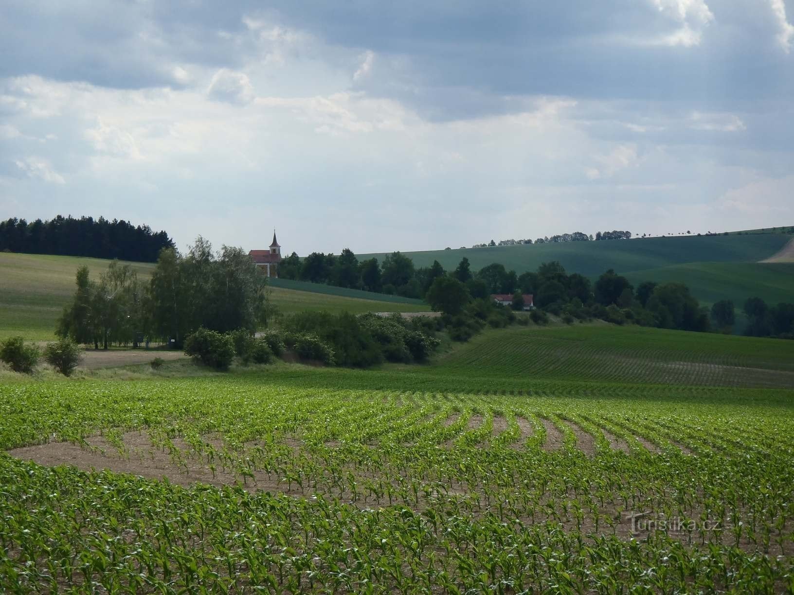 Lutrštek visto desde atrás - 2.6.2012