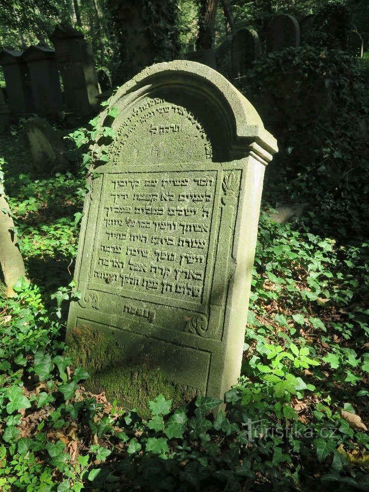 Luže – židovský hřbitov