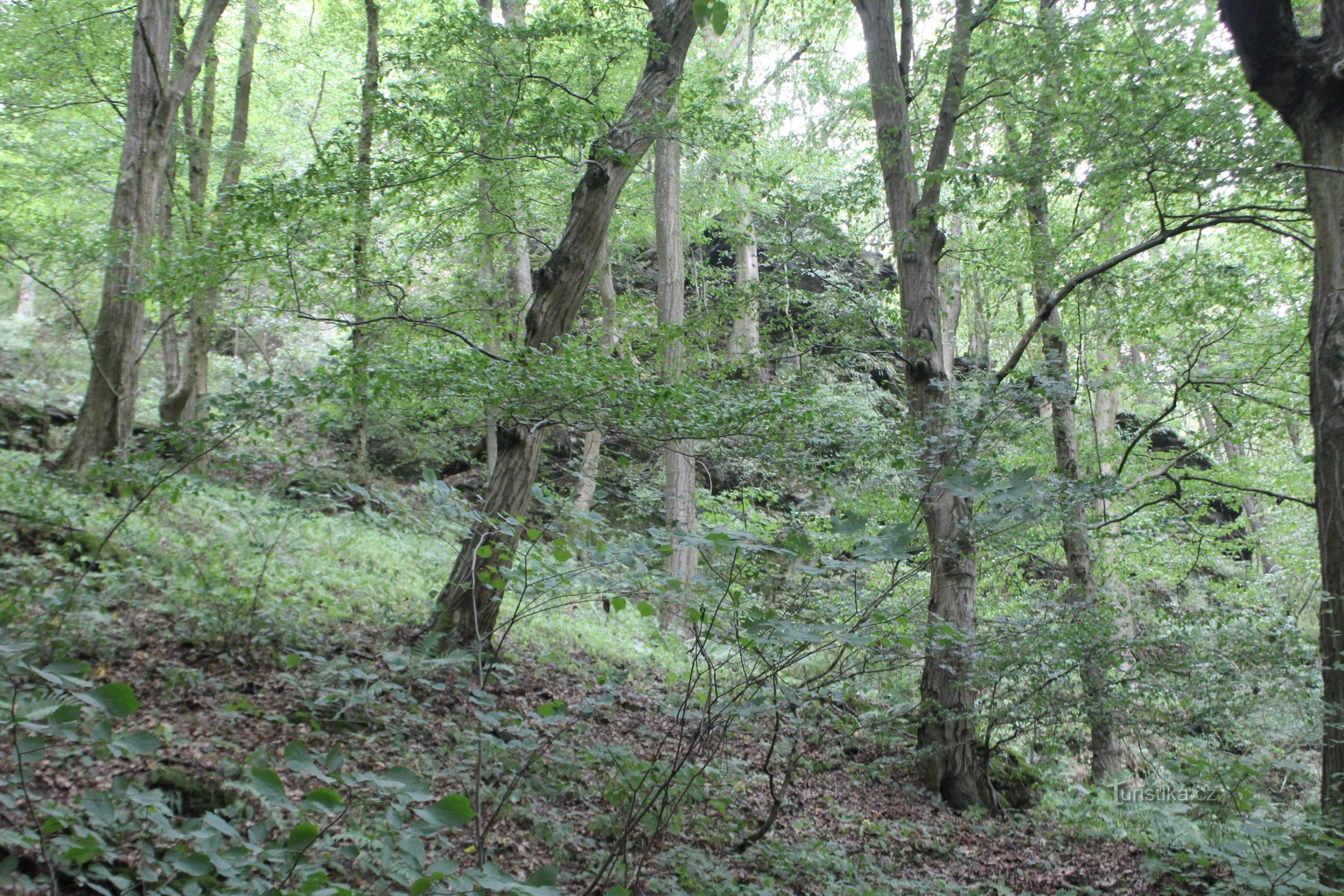 Luzichová - monumento natural