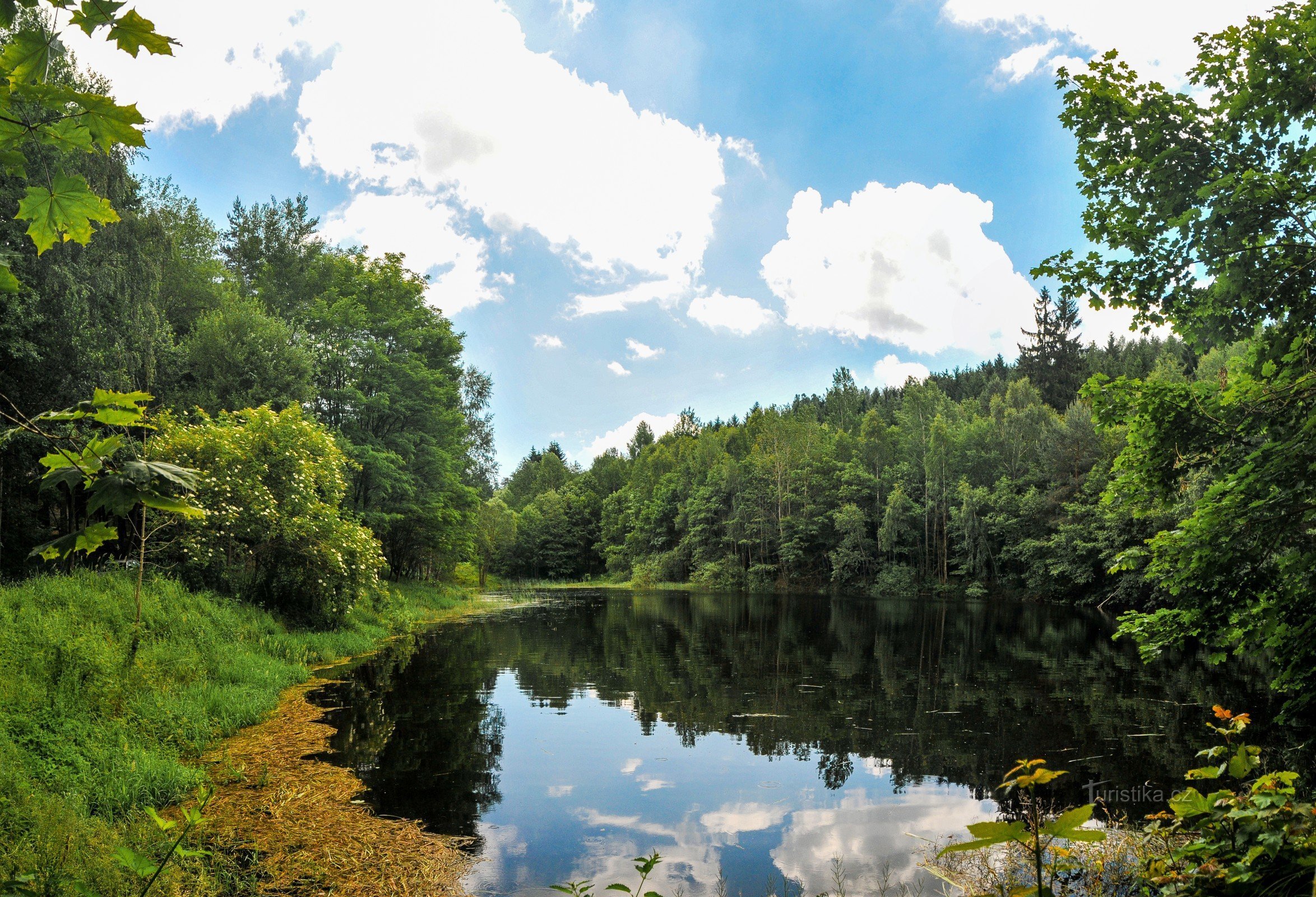 Schwemmwald bei Hlincova Hora