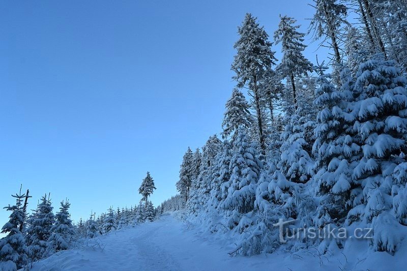 Lysá hora - Beskiden