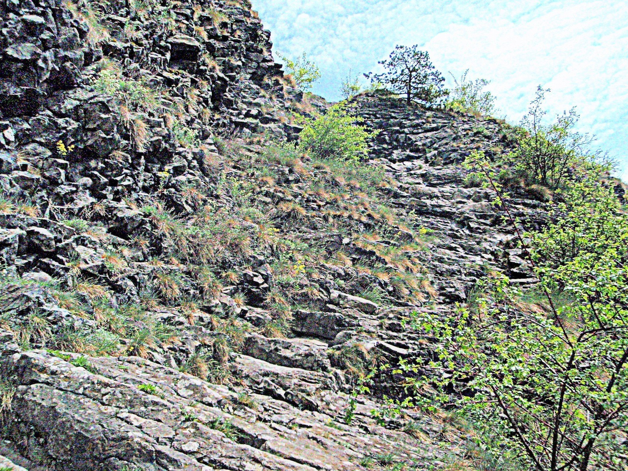 Bald rock