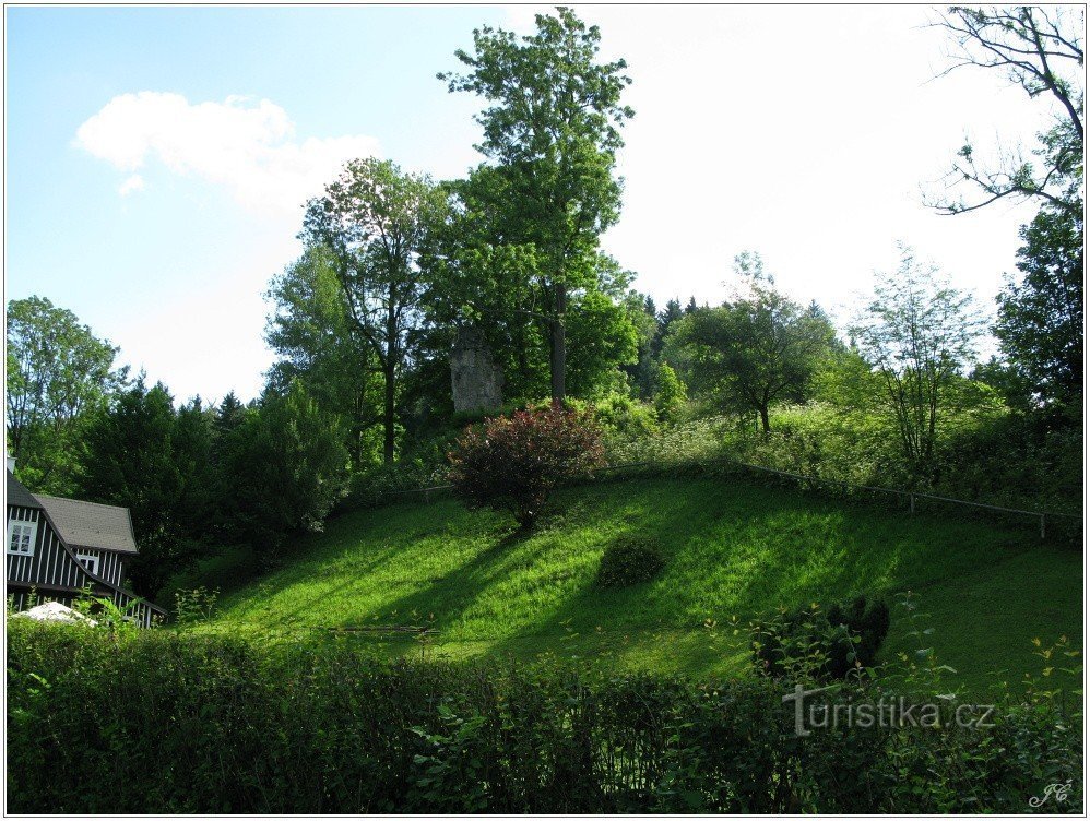 Lysečinská-naald